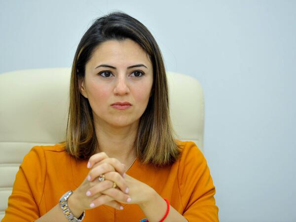 Sevinc Fətəliyeva: &quot;Böyük Britaniya hər zaman Azərbaycanın Avropadakı ən mühüm tərəfdaşlarından biri olub&quot;