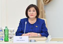 Prezident İlham Əliyevin Cənubi Qafqazdakı reallıqları BMT tribunasından təqdim etməsi xüsusi əhəmiyyətə malikdir – Sahibə Qafarova