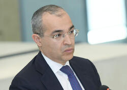“İqtisadiyyatda 81%  özəl sektorun payıdır” - Nazir