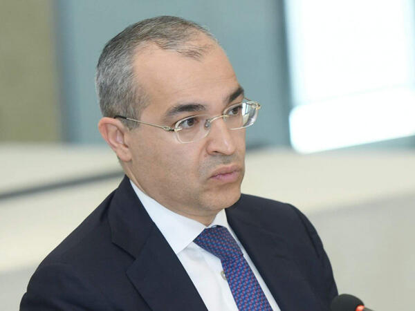 “İqtisadiyyatda 81%  özəl sektorun payıdır” - Nazir