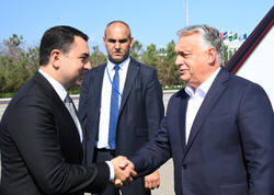 Orban Qəbələdədir - FOTO