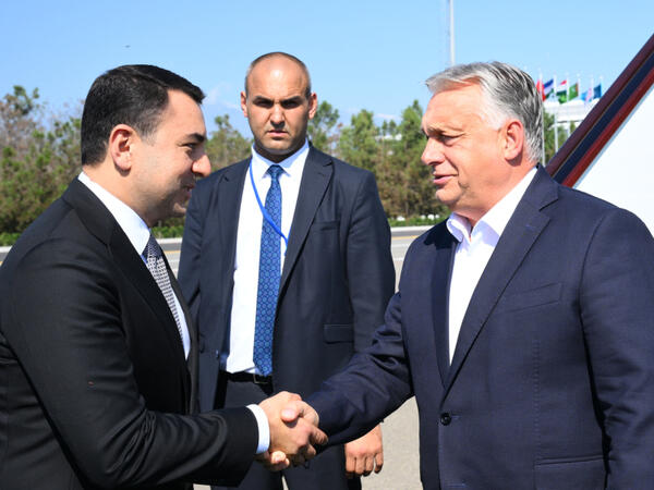 Orban Qəbələdədir - FOTO