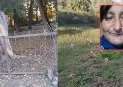 Sosial şəbəkələrdə gündəm olan Qərənfilin iddiaları ilə bağlı RƏSMİ AÇIQLAMA