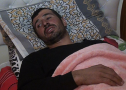 “Ağaclıqdan çıxaraq üstümə gəldi” – Ayının hücumun ediyi Azər - <span class="color_red">VİDEO</span>