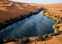 Sahara əsrin sonuna qədər yaşıllaşa bilər: Afrikada “yağış dövrü” başlayacaq