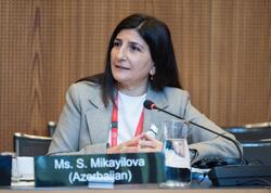 Deputat Sevil Mikayılova Cenevrədə beynəlxalq tədbirdə çıxış edib - VİDEO - FOTO