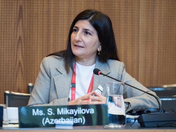 Deputat Sevil Mikayılova Cenevrədə beynəlxalq tədbirdə çıxış edib - VİDEO - FOTO