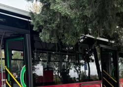 &quot;Bakubus&quot; Bulvara girdi - FOTO