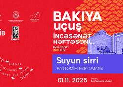 “Art Weekend” zamanı “Suyun sirri” pantomim tamaşanın premyerası olacaq - <span class="color_red">VİDEO</span>