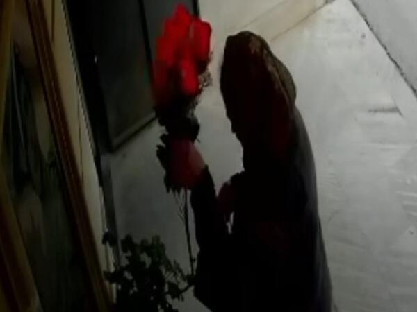 Şəhidin büstü üzərindəki gülləri oğurlayan qadın tapıldı - <span class="color_red">FOTO</span>