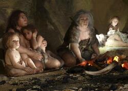 “Neandertallar niyə yox oldu?” sualına yeni cavab