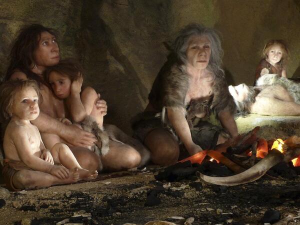 “Neandertallar niyə yox oldu?” sualına yeni cavab