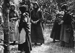 Bu kənddə 50 qadın ərini zəhərləyib ÖLDÜRDÜ - <span class="color_red">FOTO</span>