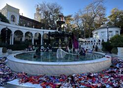 Filarmoniya bağı niyə bu hala düşüb? - FOTO