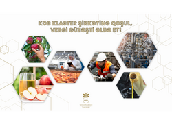 KOB klasterin iştirakçısı olmaq istəyən KOB subyektlərinin nəzərinə!