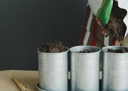 Nə bağ, nə də torpaq tələb etmir: Bir dəfə ək, il boyu məhsul yığ