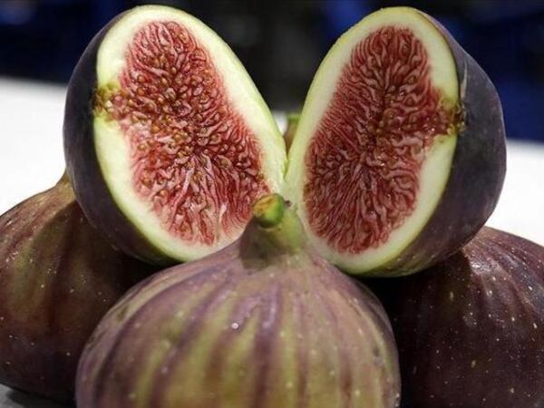 Əncirə əlavə edib yeyin - Qaraciyəri təmizləyir, orqanizmi yeniləyir