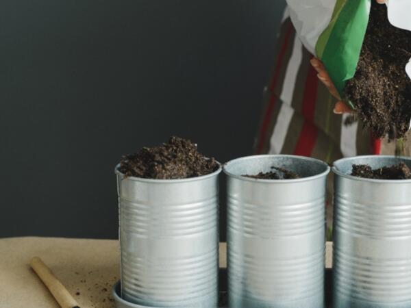 Nə bağ, nə də torpaq tələb etmir: Bir dəfə ək, il boyu məhsul yığ