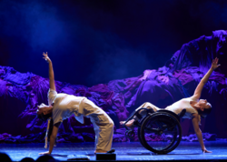 "DanceAbility Azerbaijan" Bakıda "Art Weekend" çərçivəsində inklüziv performans və tamaşa təqdim edəcək - VİDEO - FOTO
