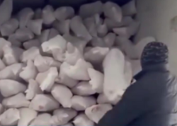 "12 manata monqol əti" Azərbaycan bazarını bürüyüb - <span class="color_red">VİDEO</span>