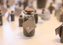 Azərbaycanın ən nadir geoloji hadisə yerindən FOTOREPORTAJ