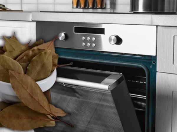 Sobaya dəfnə yarpağı qoyun - nəticəyə inanmayacaqsınız