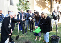 “ART Weekend” çərçivəsində “Püstə: canlı irs” performansı təqdim edilib - <span class="color_red">FOTO</span>