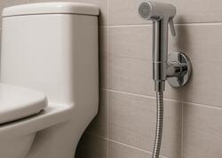 İngilislər buna görə tualet duşu istifadə etmir