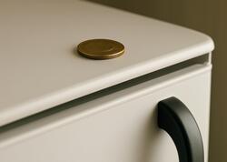 Yaponlar bu səbəbdən soyuducunun üstünə sikkə qoyurlar