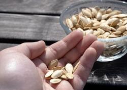 Bir il yarım davam edən öskürəyinin səbəbi balqabaq toxumu çıxdı