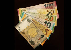 Gələn il manatın məzənnəsi dəyişəcək? - Komitə sədri açıqladı