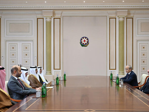 Prezident Ərəb Koordinasiya Qrupuna daxil olan üzv qurumların rəhbər şəxslərindən ibarət nümayəndə heyətini qəbul edib - FOTO