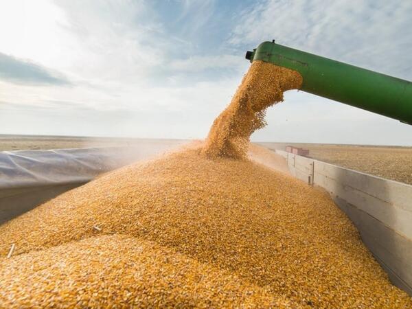 Azərbaycan vasitəsilə Ermənistana buğda daşınır