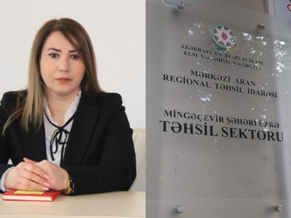 Sevinc Həsənovaya şiddətli töhmət verildi