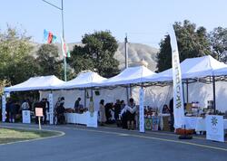 Zəfər Günü münasibətilə Göyçayda “KOB FEST” sərgi-satış yarmarkası keçirilir - <span class="color_red">FOTO</span>