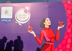 Göyçayda ənənəvi &quot;Nar Festivalı&quot; keçirildi