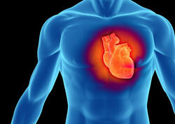 Alimlər ürəyin özünü sağalda biləcəyini göstərən inqilabi kəşf etdilər