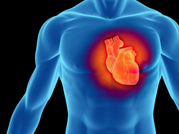 Alimlər ürəyin özünü sağalda biləcəyini göstərən inqilabi kəşf etdilər