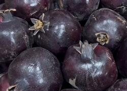 Göyçaydakı “qara nar” hər kəsi təəccübləndirdi