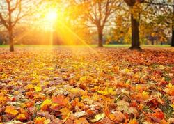 Sabah 21 dərəcə isti olacaq