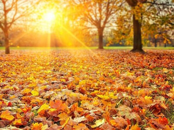 Sabah 21 dərəcə isti olacaq