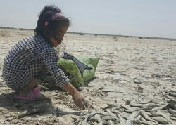 Yandırılmış sabitlik: İran öz ekoloji fəlakətinin əsirinə çevrilib