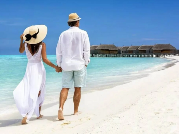 &quot;Bal ayı&quot;nı korlayan 1 nömrəli SƏHV