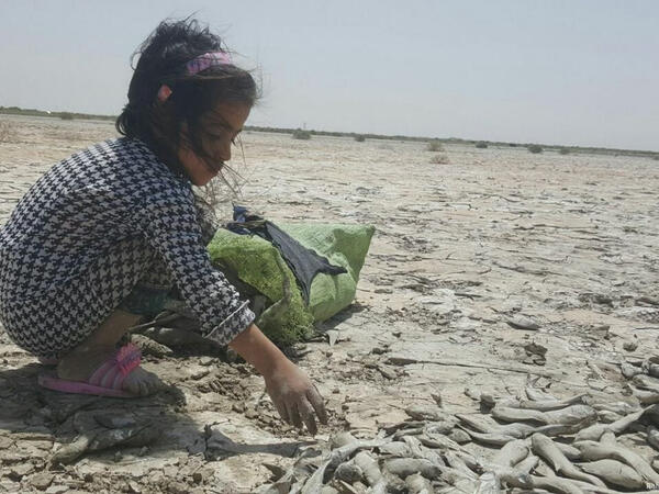 Yandırılmış sabitlik: İran öz ekoloji fəlakətinin əsirinə çevrilib