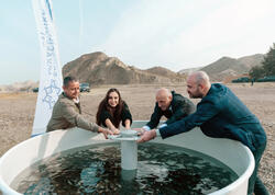 Leyla Əliyeva Mingəçevirdə ekoloji aksiyalarda iştirak edib - FOTO