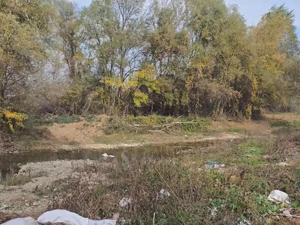 Türkiyə vətəndaşı Gürcüstanda meşədə ölü tapıldı