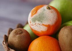 Kiflənmiş məhsulları yemək xərçəng yaradır