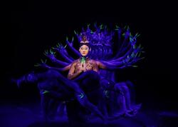 BIAF 2025 Yang Liping Contemporary Dance (Çin) qrupunun &quot;Bahar ayini&quot; xoreoqrafik tamaşasını böyük uğurla təqdim etdi - FOTO