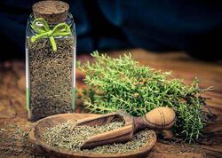 Kəklikotunun FAYDALARI