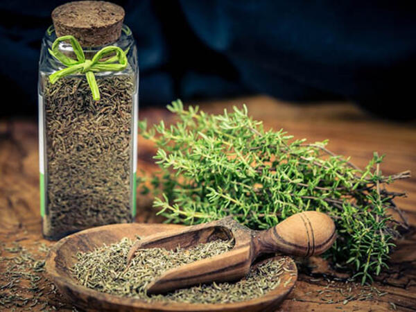 Kəklikotunun FAYDALARI